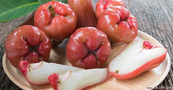 tac-dung-khong-ngo-tu-thanh-phan-dinh-duong-qua-man-2