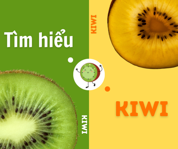 tìm hiểu về quả kiwi
