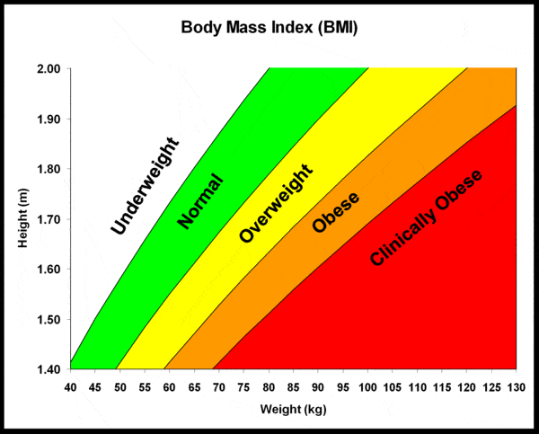 Chỉ số BMI là gì, ý nghĩa và cách tính chỉ số BMI