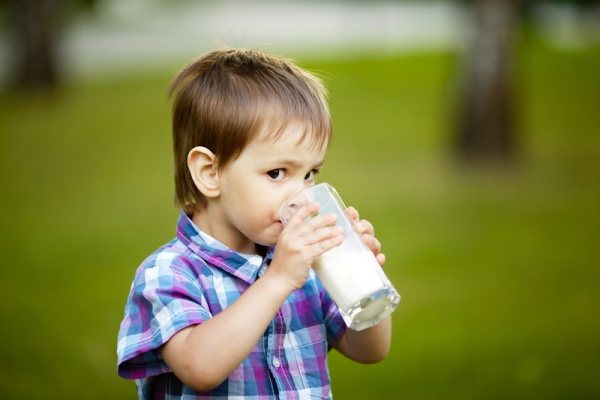 Sữa tươi giúp bé cao hơn
