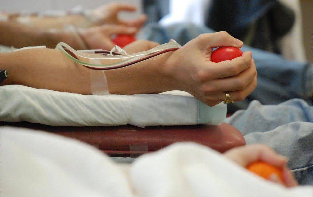 Nên ăn gì trước khi hiến máu để đảm bảo sức khỏe?