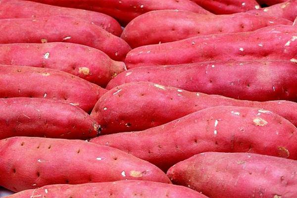 những thực phẩm không nên ăn khi đói