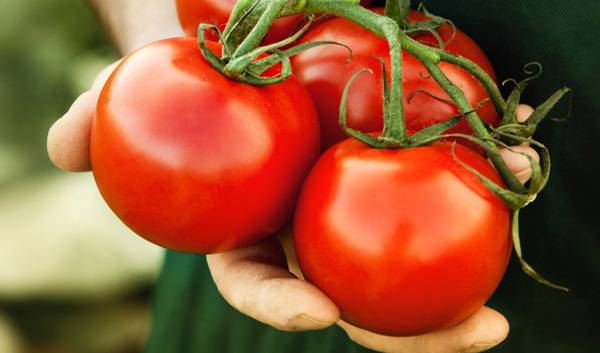 Thực phẩm bổ sung vitamin B cà chua
