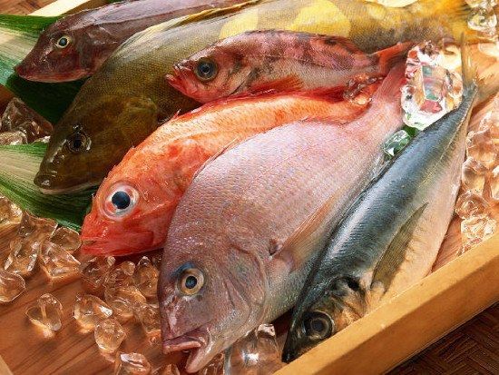 Cách nhận biết cá nhiễm độc phenol cho bạn khi đi chợ