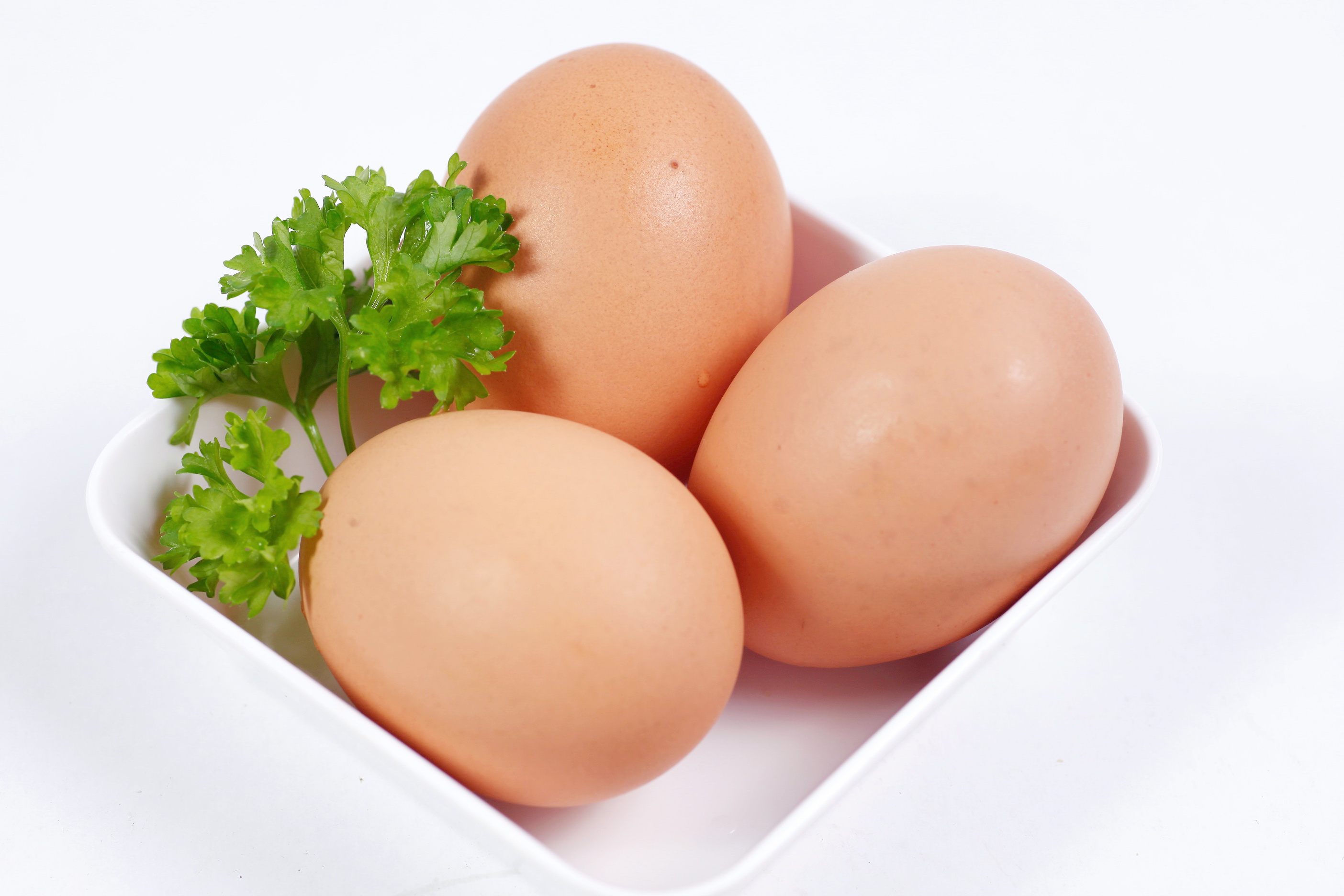 Thành phần dinh dưỡng trong trứng dồi dào và đa dạng