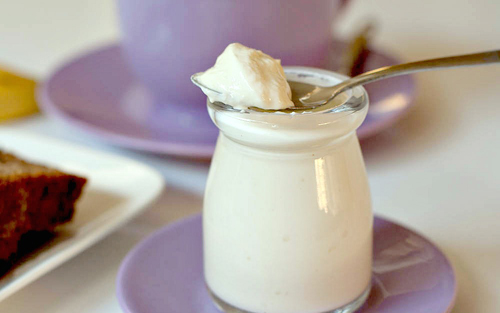 Cách làm yaourt dẻo và ngon cho gia đình