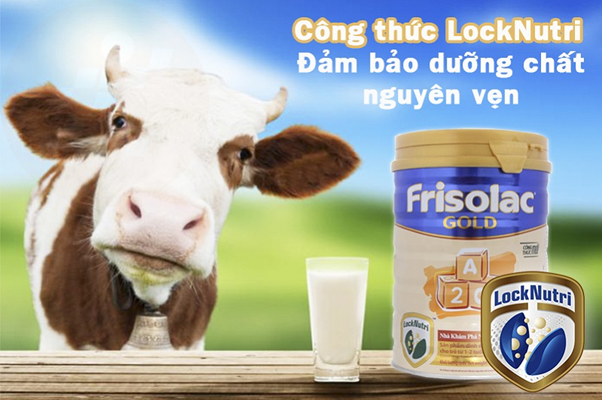 sữa frisaolac gold 3 có tốt không