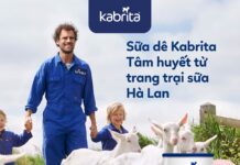 sữa dê Kabrita