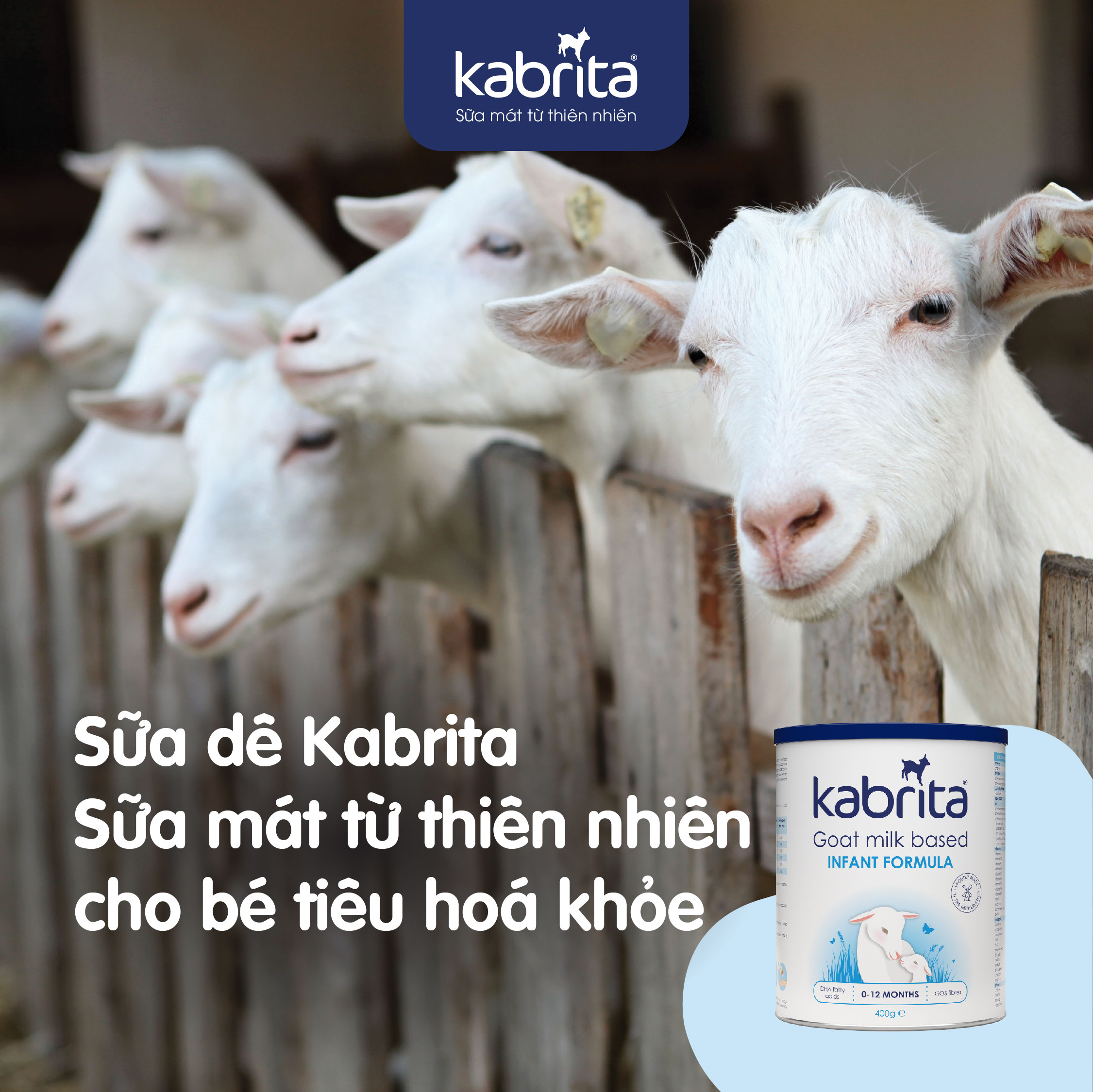 sữa dê Kabrita hương vị tự nhiên