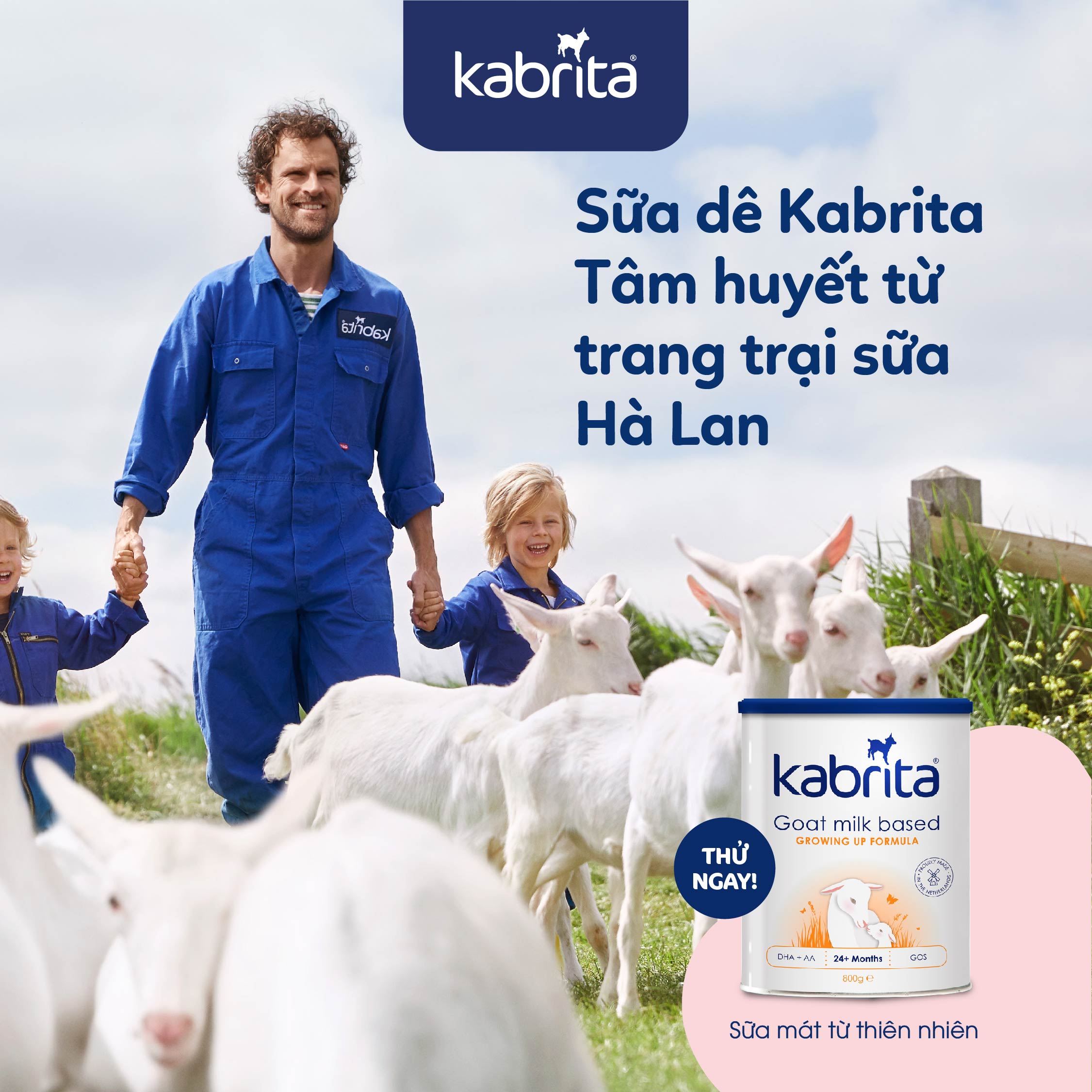 Sữa dê Kabrita – Nguồn sữa mát dịu tự nhiên, cho trẻ tiêu hóa tốt